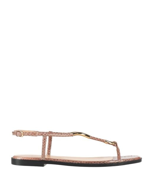 Sergio Rossi Natural Thong Sandal