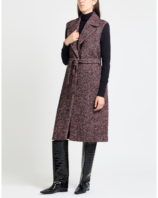 Caractere Purple Coat