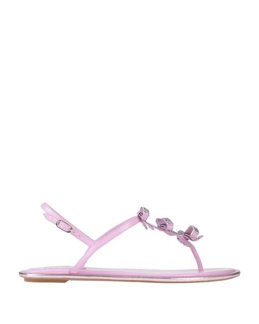 Rene Caovilla Pink Thong Sandal