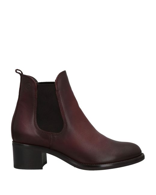 Ankle Boots in Lyst