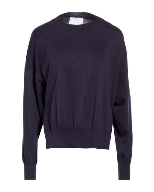 Daniele Fiesoli Blue Collezione N_01 Sweater Cotton