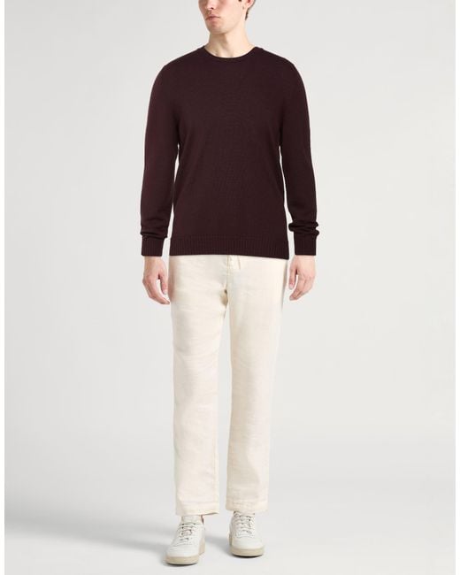 Drumohr Purple Sweater Merino Wool for men
