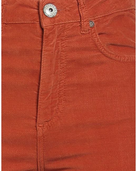 Maliparmi Red Trouser