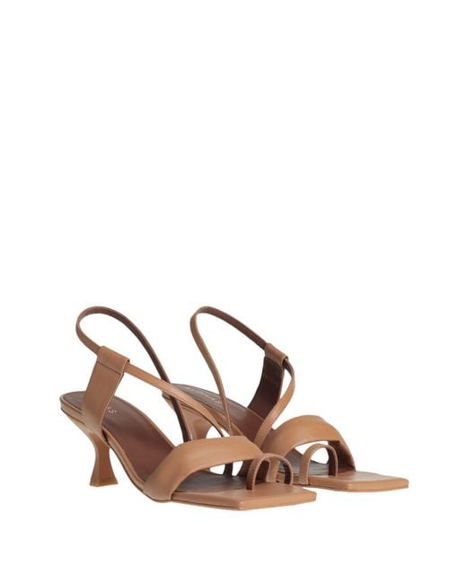 Alohas Multicolor Thong Sandal
