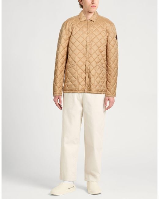 Husky Brown Puffers for men