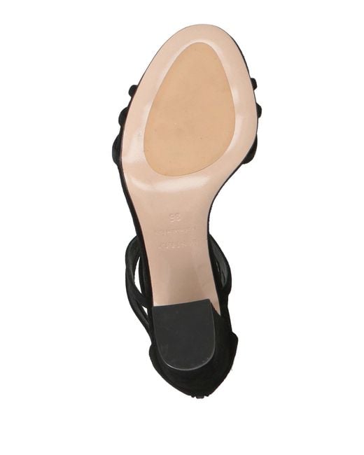 Le Silla Black Sandals