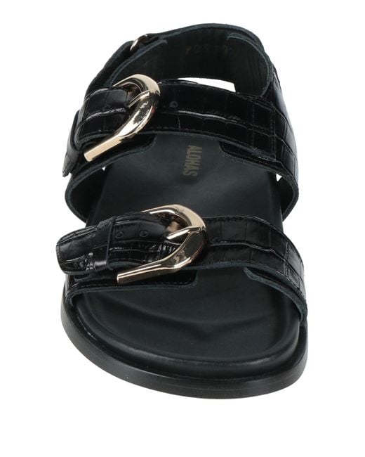 Alohas Black Sandals