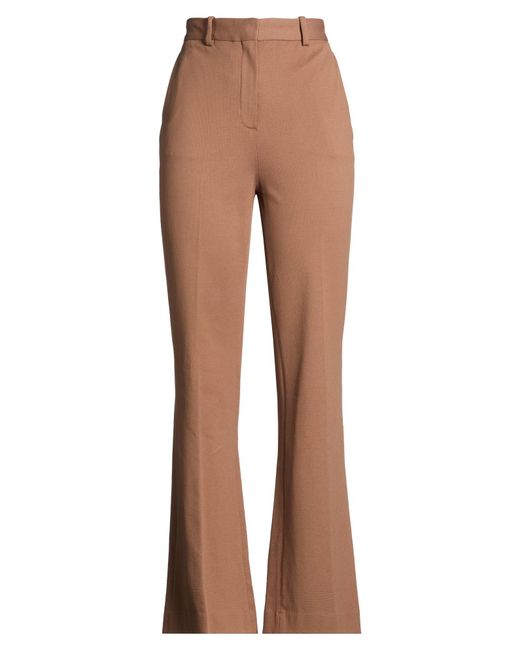 Circolo 1901 Brown Pants