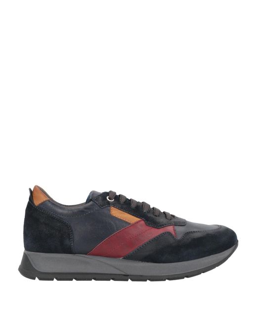 Exton Blue Trainers for men