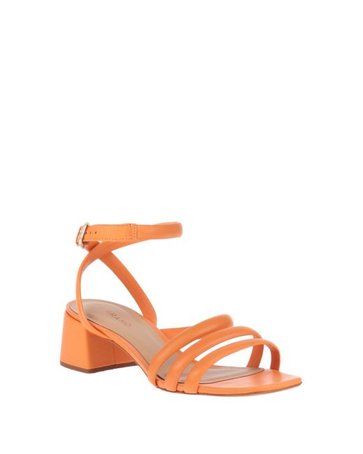 Carrano Orange Sandals