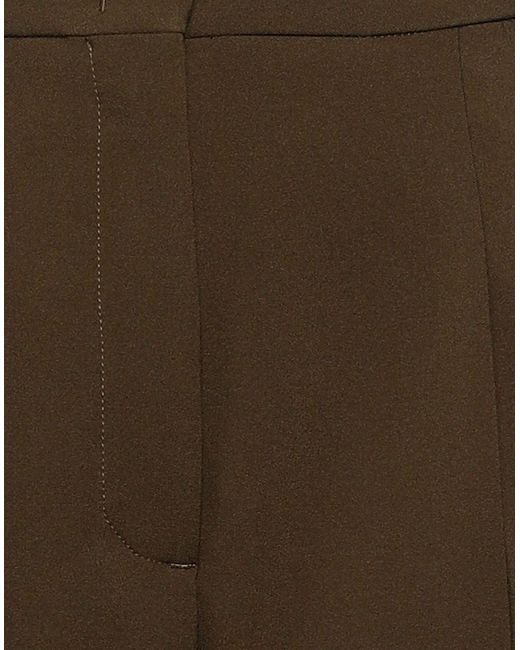 Department 5 Brown Trouser