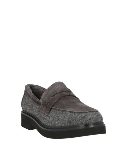 Doucal's Gray Mokassin