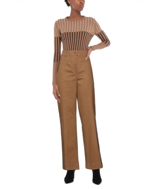 Alberta Ferretti Brown Pants