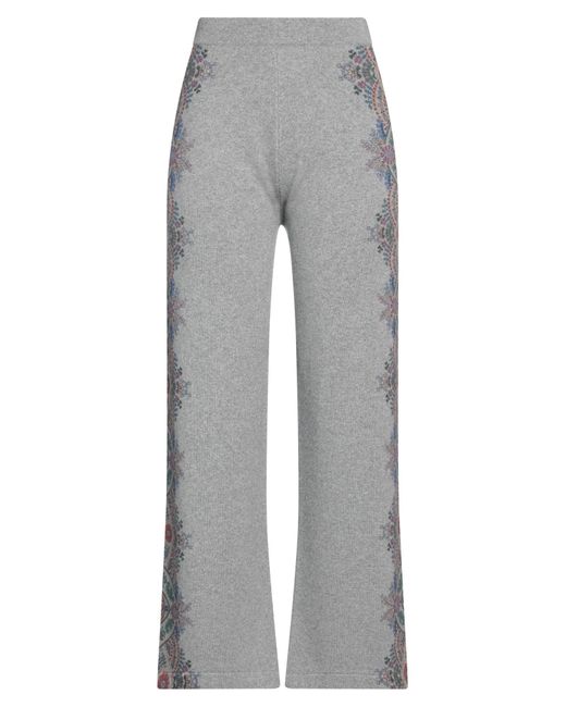 Etro Gray Hose