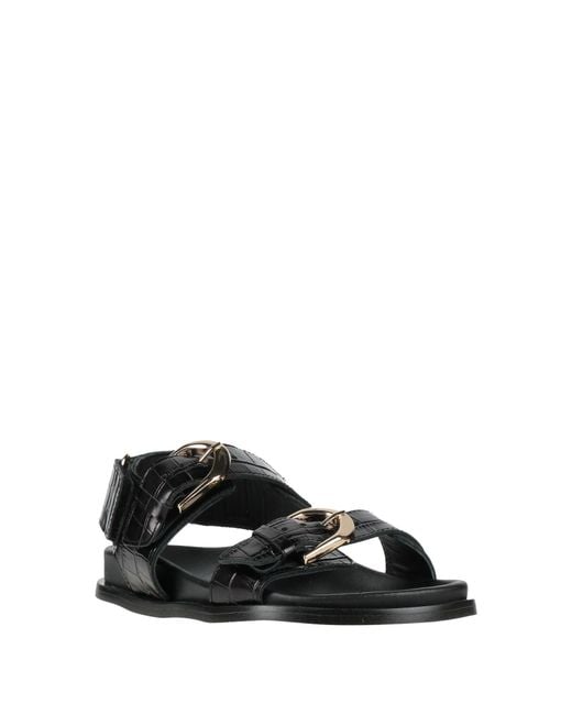 Alohas Black Sandals