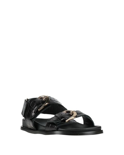 Alohas Black Sandals