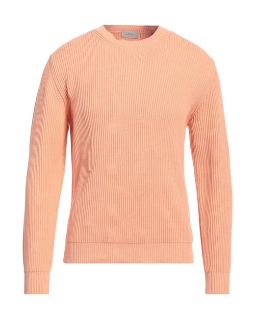 Altea Pink Jumper for men