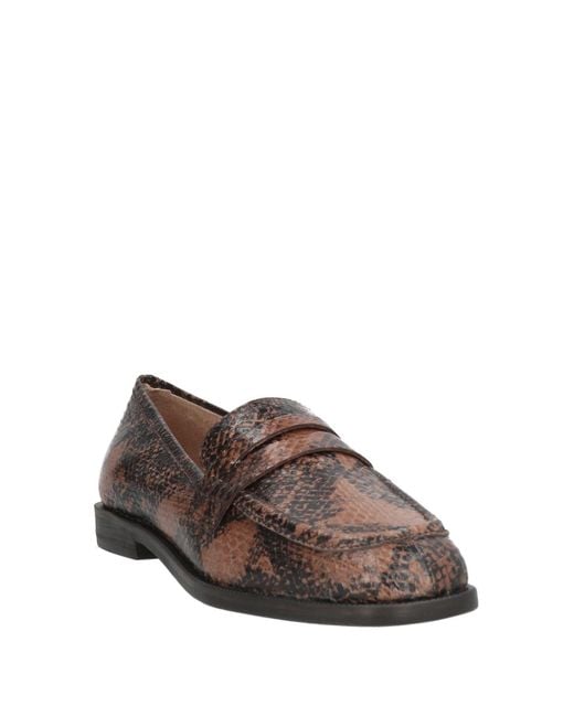 Maliparmi Brown Loafer