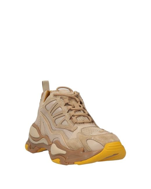 Sandro Brown Trainers
