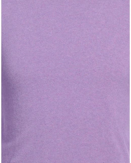 Berna Purple Jumper for men