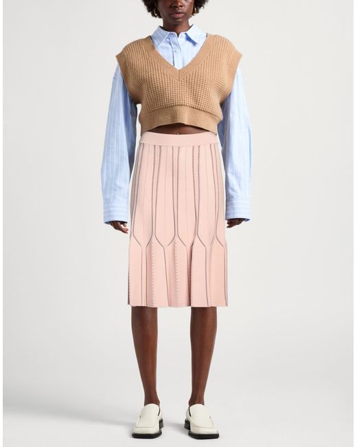 Elisabetta Franchi Pink Midi-Rock