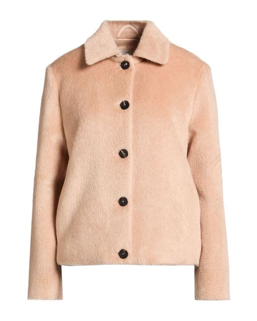 Peserico Natural Shearling & Teddy
