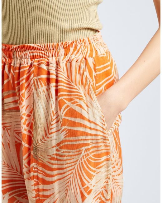 Fisico Orange Pants