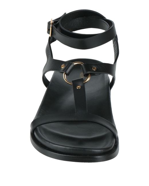 Alohas White Sandals