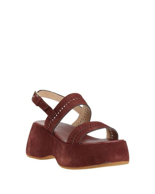 Baldinini Brown Sandals Leather