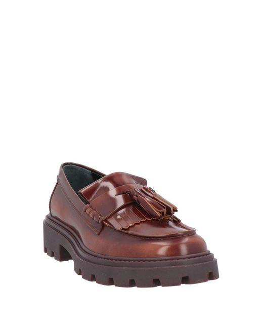 Tod's Brown Loafer