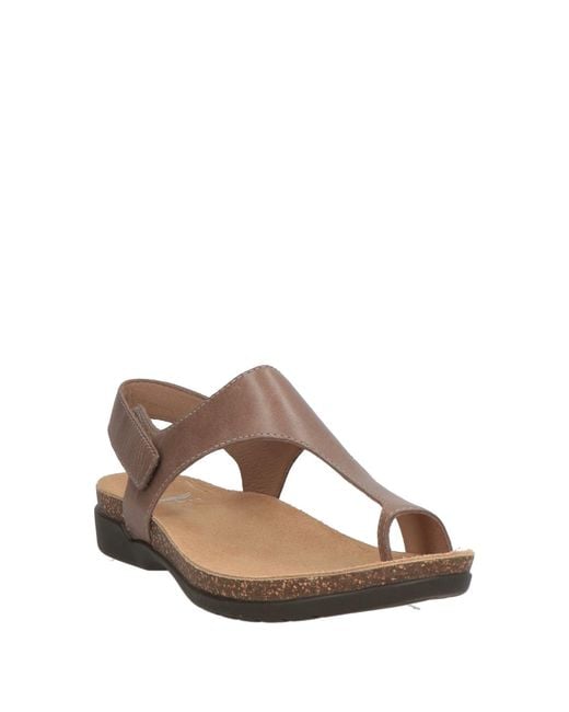Dansko Brown Thong Sandal