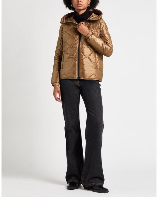 Add Brown Puffers