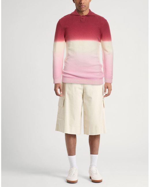 Daniele Fiesoli Pink Lab Garnet Sweater Wool, Polyamide, Cashmere for men