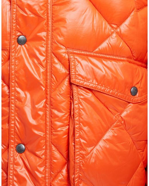 Husky Orange Puffer for men