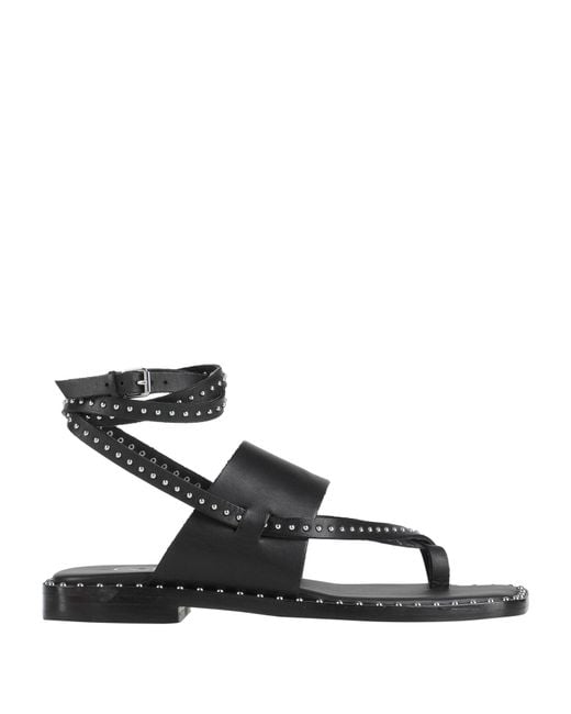 Ash Black Thong Sandal