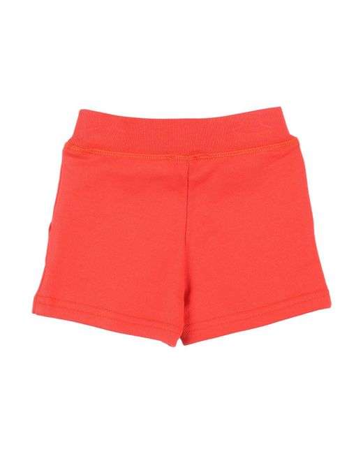 DSquared² Red Icon Shorts & Bermuda Shorts Cotton, Elastane