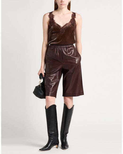 Gold Hawk Brown Top