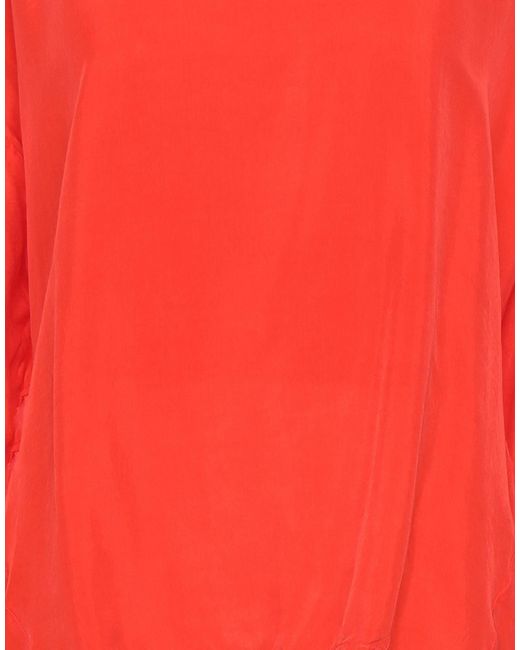 European Culture Red Top