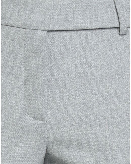 Seductive Gray Trouser