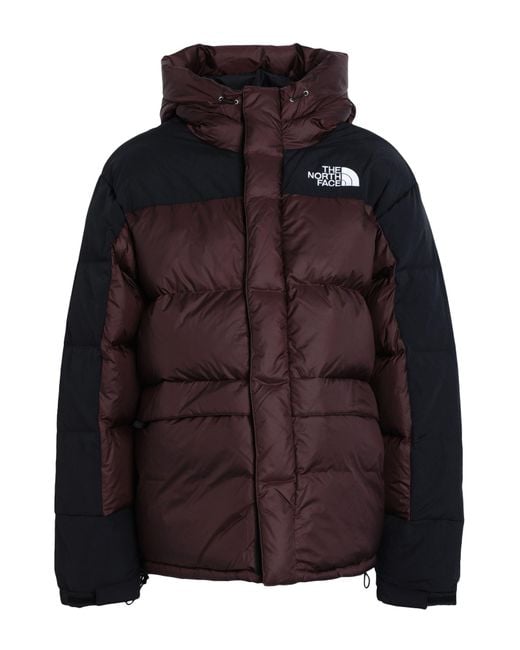 Plumífero y acolchado The North Face de hombre de color Black