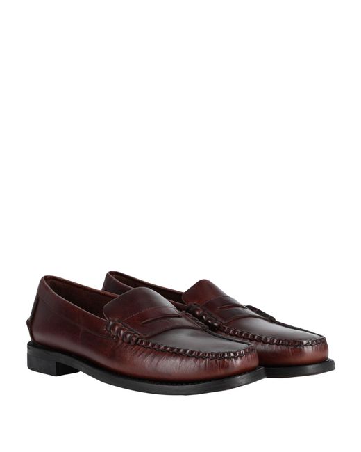Sebago Brown Loafers for men