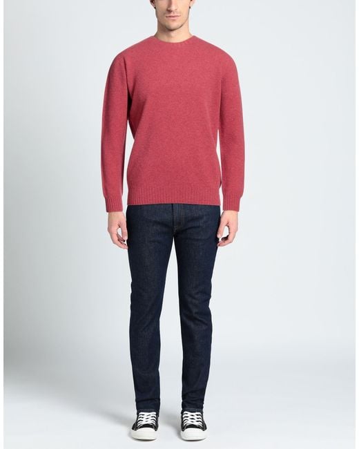 Altea Purple Jumper for men