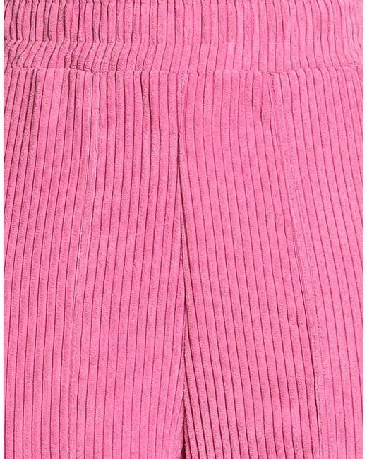 DISCLAIMER Pink Pants