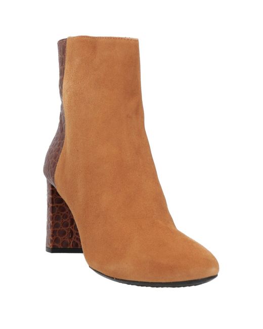 Geox Brown Ankle Boots