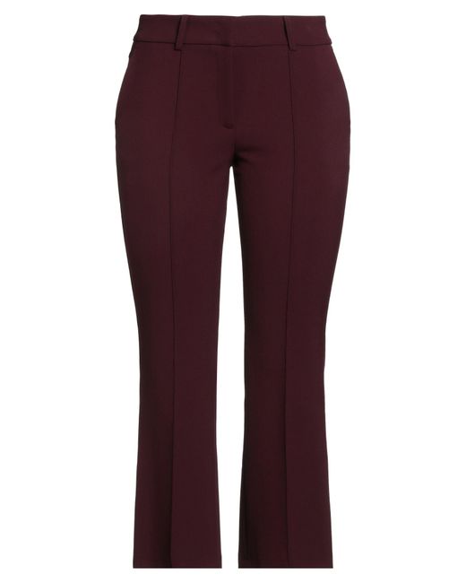 Cambio Purple Hose