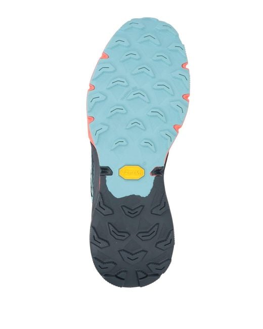 Dynafit Blue Trainers