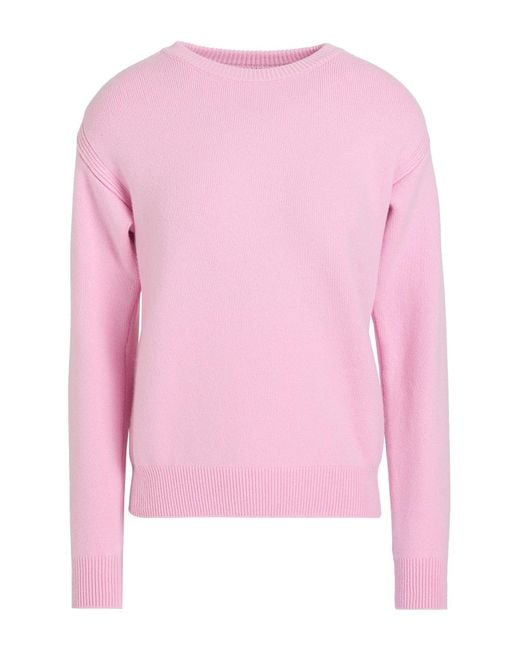 Pullover Sa Su Phi de color Pink
