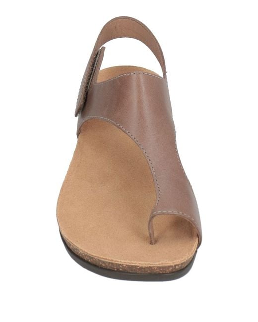 Dansko Brown Thong Sandal