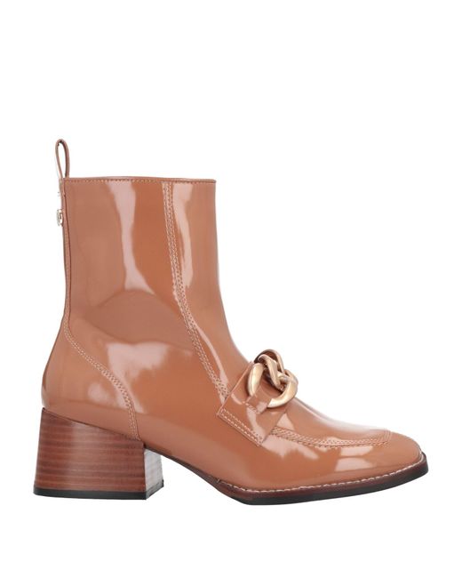 Steve Madden Brown Ankle Boots