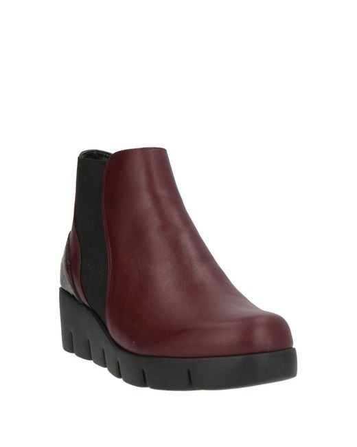 The Flexx Purple Burgundy Ankle Boots Leather